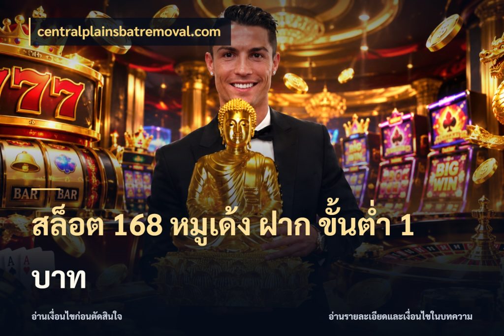 สล็อต 168 หมูเด้ง ฝาก ขั้นต่ำ 1 บาท จัดจังหวะสนุกให้เข้ากับงบที่ตั้งไว้ สไตล์ centralplainsbatremoval.com