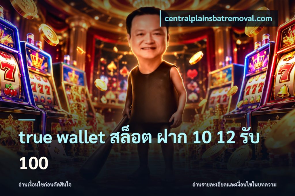 true wallet สล็อต ฝาก 10 12 รับ 100