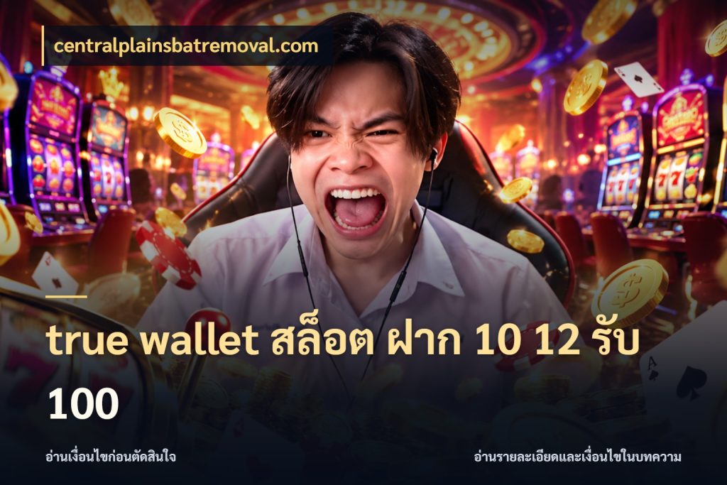 true wallet สล็อต ฝาก 10 12 รับ 100 จุดเด่นของเครดิตที่คนชอบเกมอยากรู้ กับ centralplainsbatremoval.com