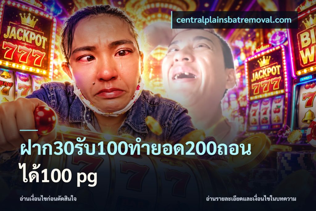 ฝาก30รับ100ทํายอด200ถอนได้100 pg