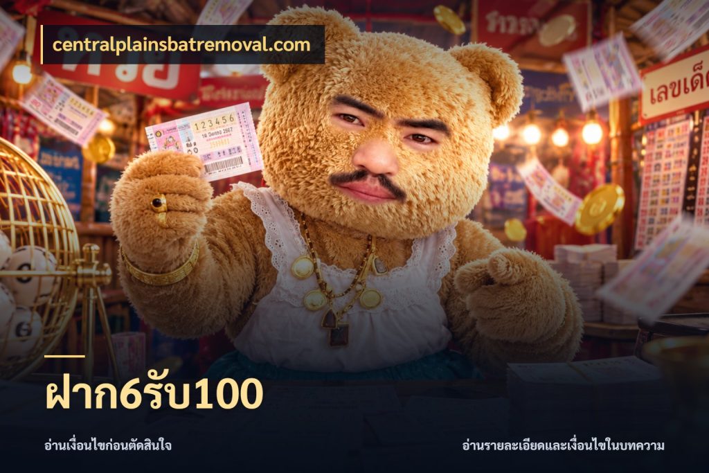 ฝาก6รับ100 centralplainsbatremoval.com โปรยอดรับที่สายเกมสนใจ