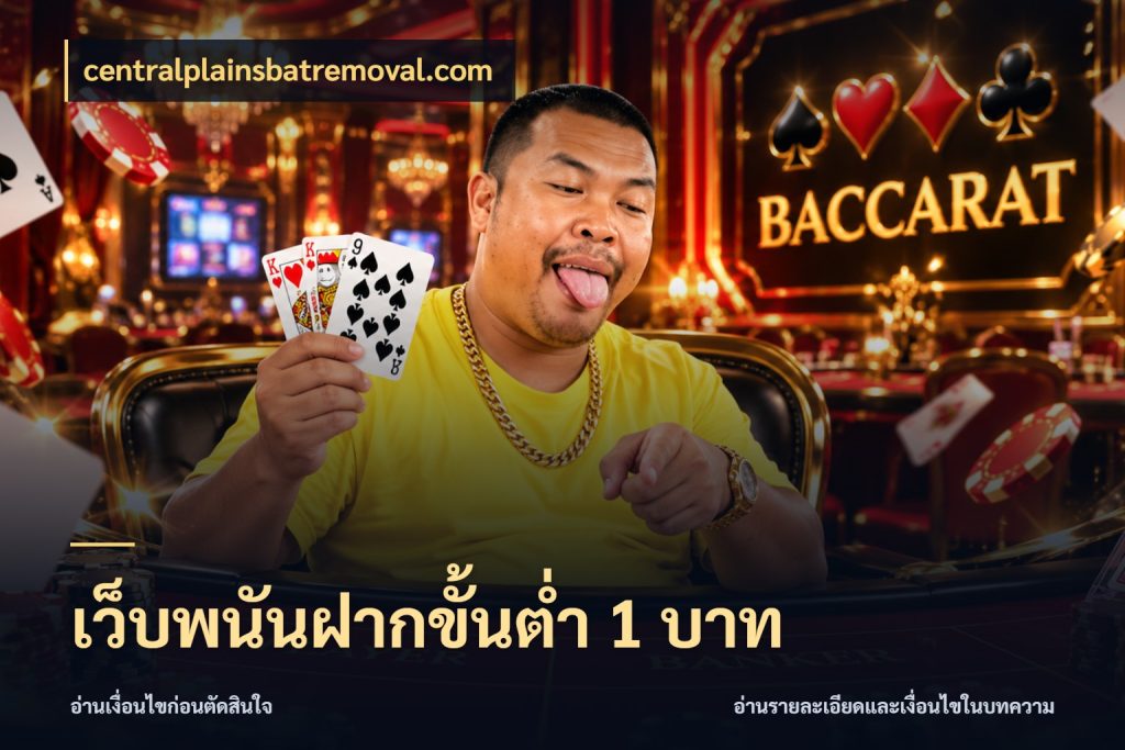 เว็บพนันฝากขั้นต่ำ 1 บาท เงินตั้งต้นกับความสนุกที่คุณกำหนด สไตล์ centralplainsbatremoval.com