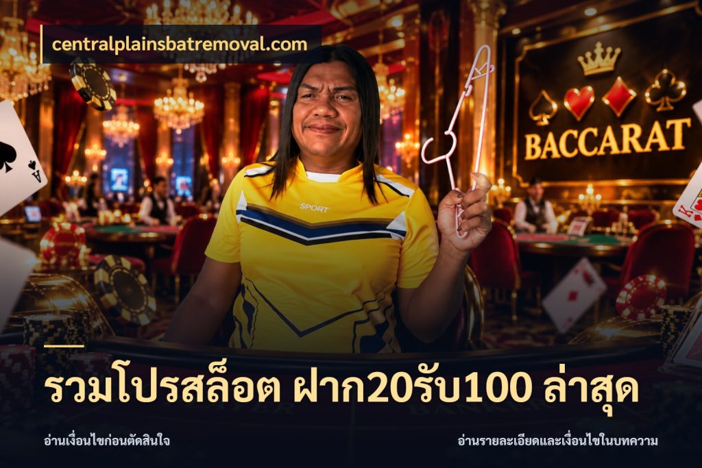 รวมโปรสล็อต ฝาก20รับ100 ล่าสุด ยอดฝากและยอดรับในมุมของคนชอบลุ้น กับ centralplainsbatremoval.com