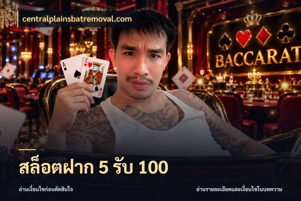สล็อตฝาก 5 รับ 100 รูปแบบโบนัสกับสิทธิ์ของสายเกม สไตล์ centralplainsbatremoval.com