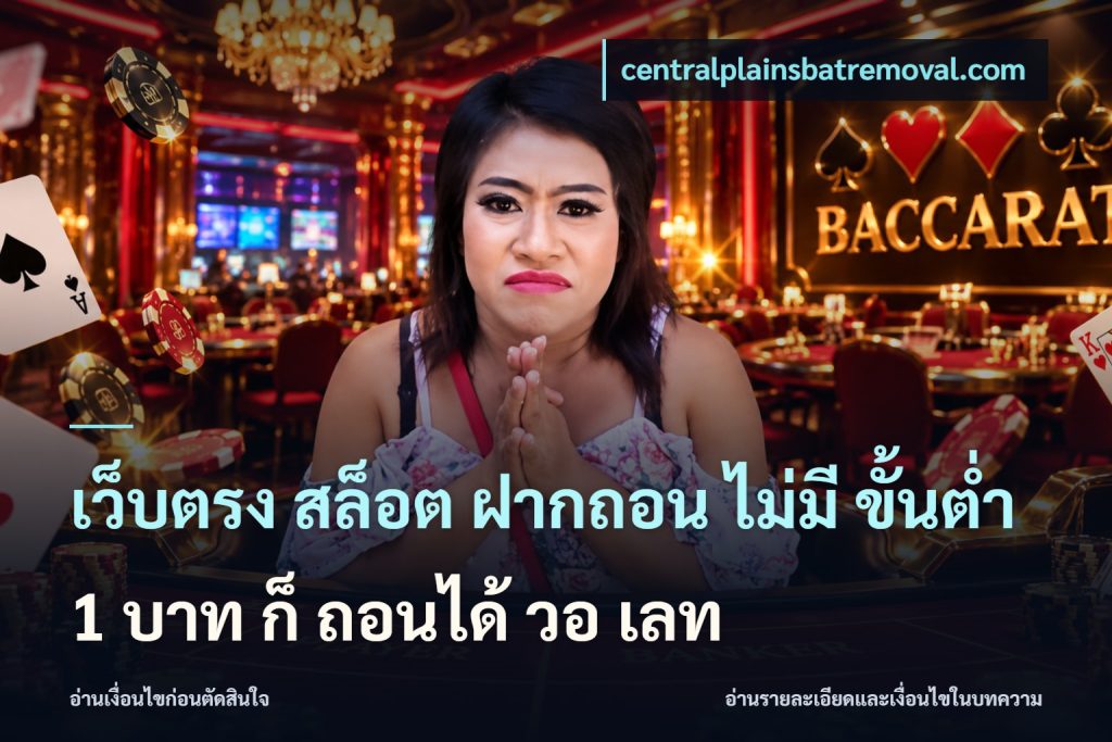 เว็บตรง สล็อต ฝากถอน ไม่มี ขั้นต่ํา 1 บาท ก็ ถอนได้ วอ เลท