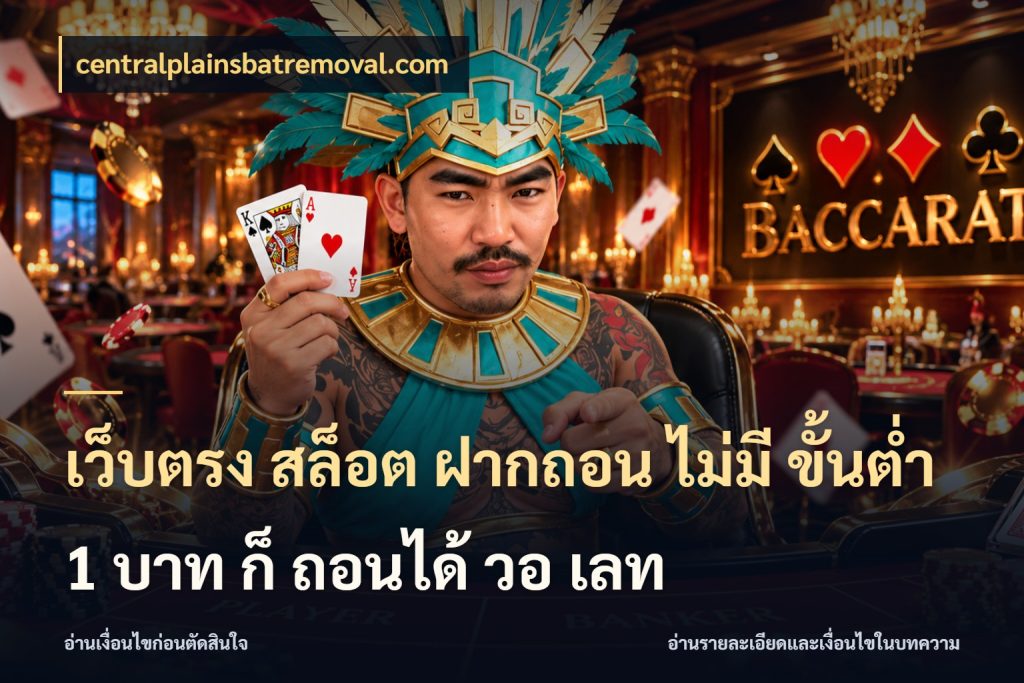 เว็บตรง สล็อต ฝากถอน ไม่มี ขั้นต่ํา 1 บาท ก็ ถอนได้ วอ เลท centralplainsbatremoval.com เลือกสไตล์จากยอดและรูปแบบที่ตรงใจ
