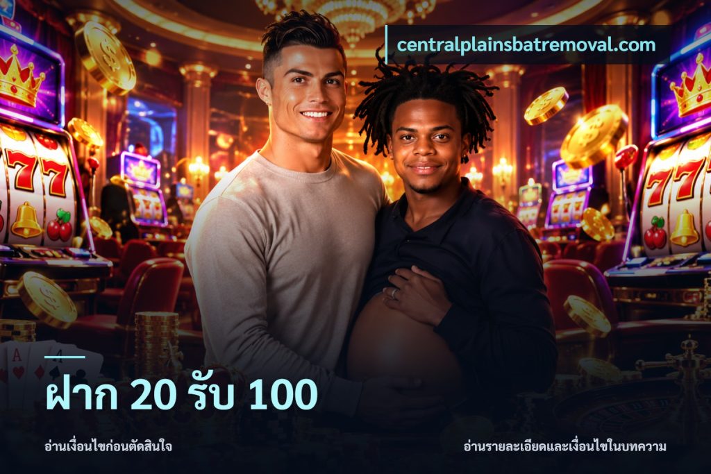 ฝาก 20 รับ 100