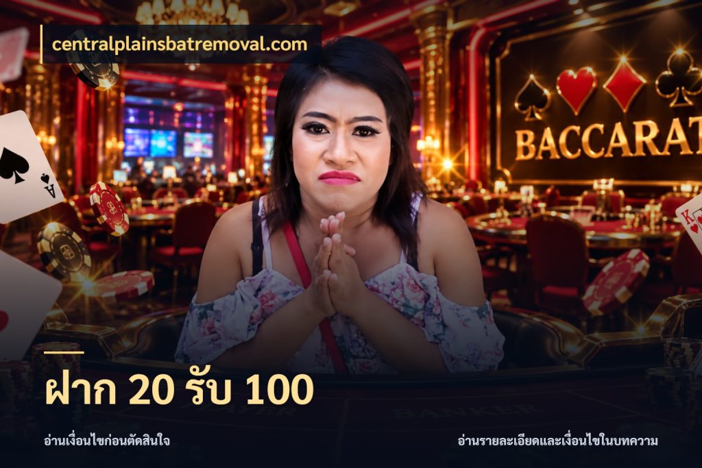 ฝาก 20 รับ 100 จับประเด็นยอดรับก่อนเลือกความสนุก กับ centralplainsbatremoval.com