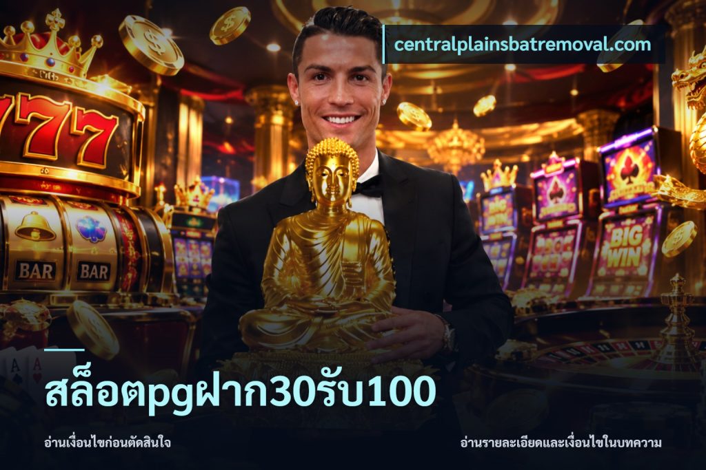 สล็อตpgฝาก30รับ100