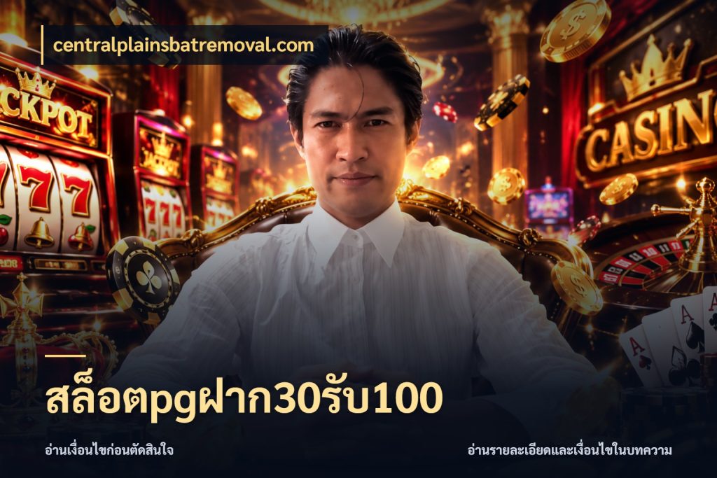 สล็อตpgฝาก30รับ100 centralplainsbatremoval.com โปรกับเกมที่ชอบเลือกให้ตรงสไตล์