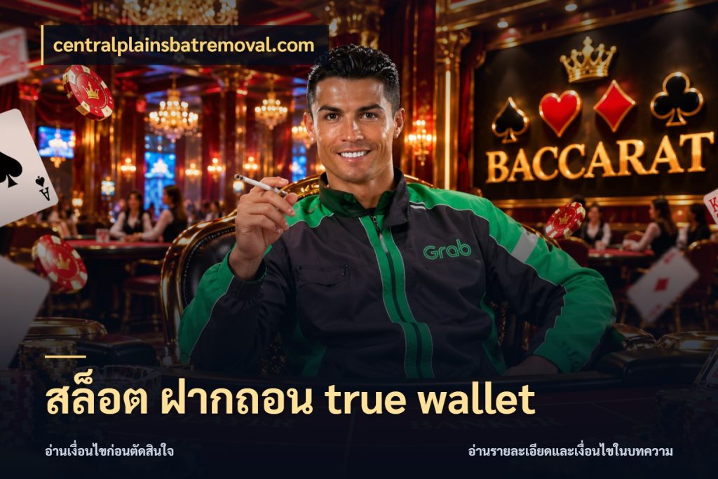 สล็อต ฝากถอน true wallet รู้จักวิธีเงินเข้าและขอบเขตเครดิต กับ centralplainsbatremoval.com