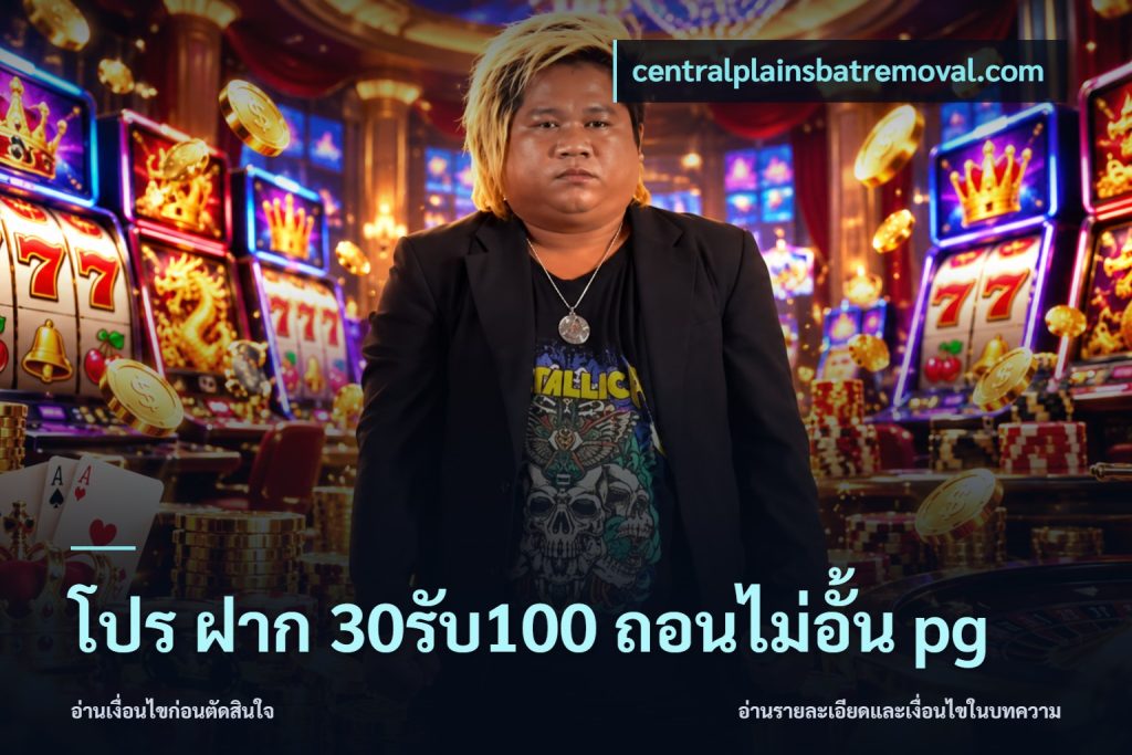 โปร ฝาก 30รับ100 ถอนไม่อั้น pg