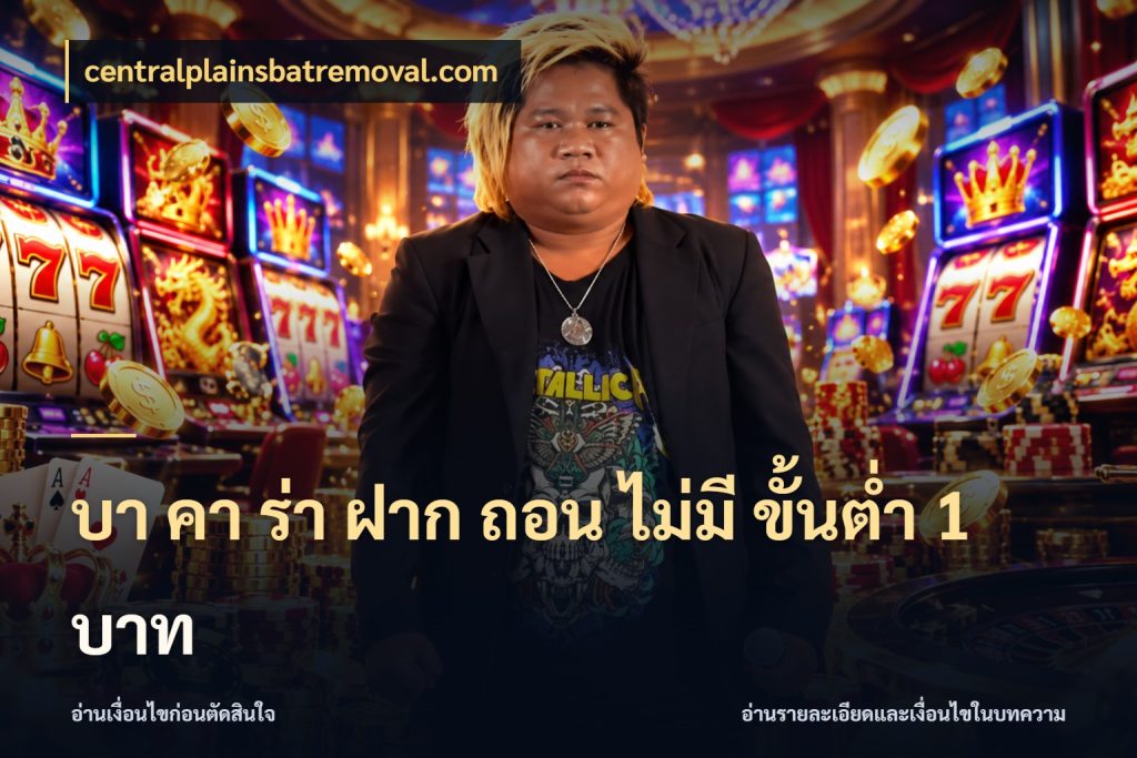 บา คา ร่า ฝาก ถอน ไม่มี ขั้นต่ำ 1 บาท ชื่อยอดและสิทธิ์ในบริบทของบาคาร่า สไตล์ centralplainsbatremoval.com