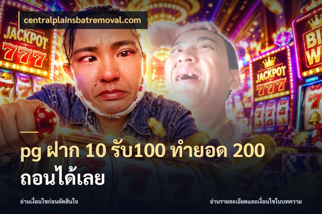 pg ฝาก 10 รับ100 ทำยอด 200 ถอนได้เลย โปรกับเกมที่ชอบเลือกให้ตรงสไตล์ ในมุม centralplainsbatremoval.com