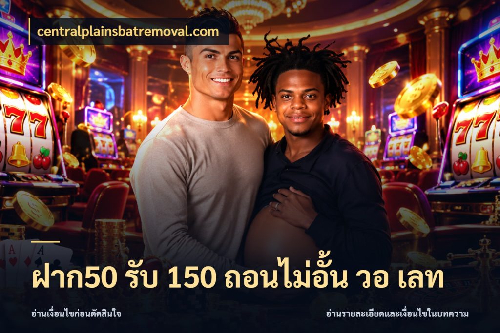 ฝาก50 รับ 150 ถอนไม่อั้น วอ เลท โปรกับเกมที่ชอบเลือกให้ตรงสไตล์ สไตล์ centralplainsbatremoval.com