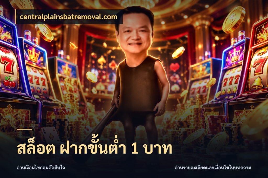 สล็อต ฝากขั้นต่ํา 1 บาท รู้จักจำนวนแต่ละแบบก่อนเลือกเกม สไตล์ centralplainsbatremoval.com