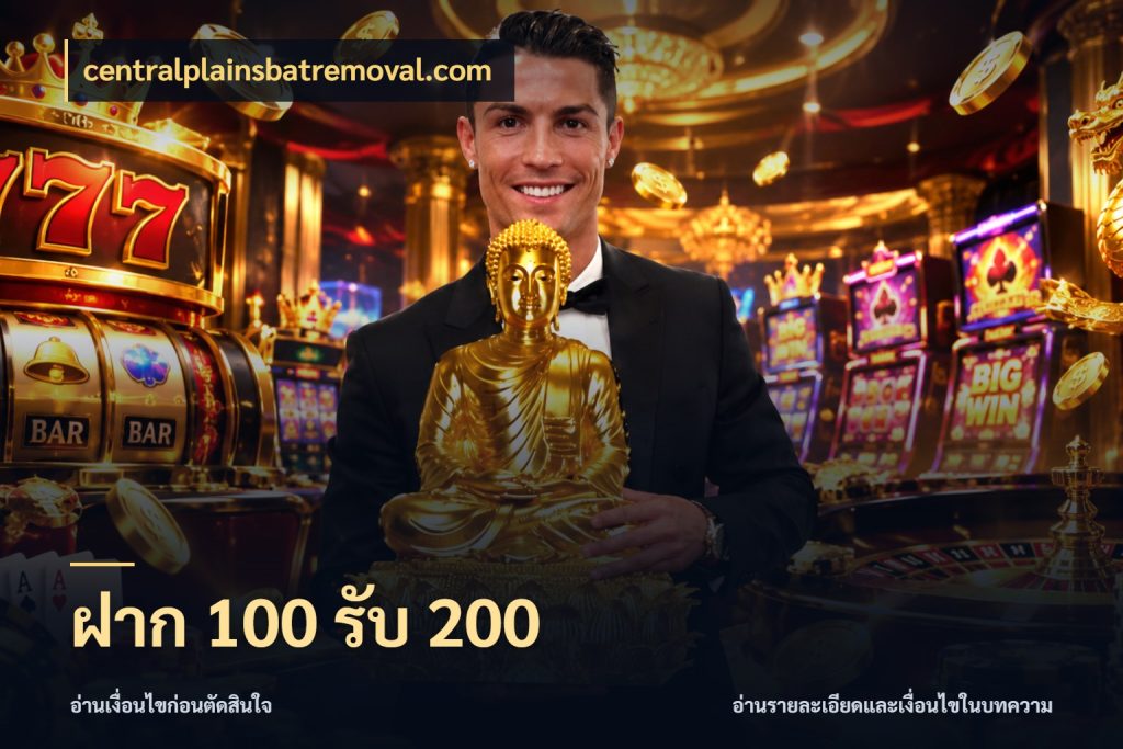 ฝาก 100 รับ 200 สีสันของโปรฝากและยอดรับ กับ centralplainsbatremoval.com