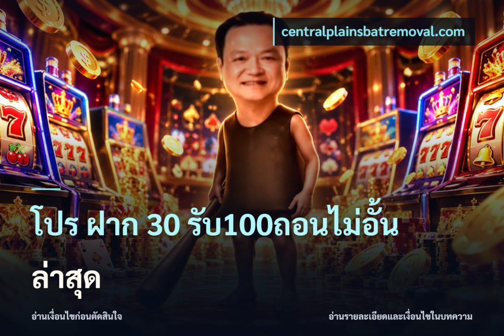 โปร ฝาก 30 รับ100ถอนไม่อั้น ล่าสุด