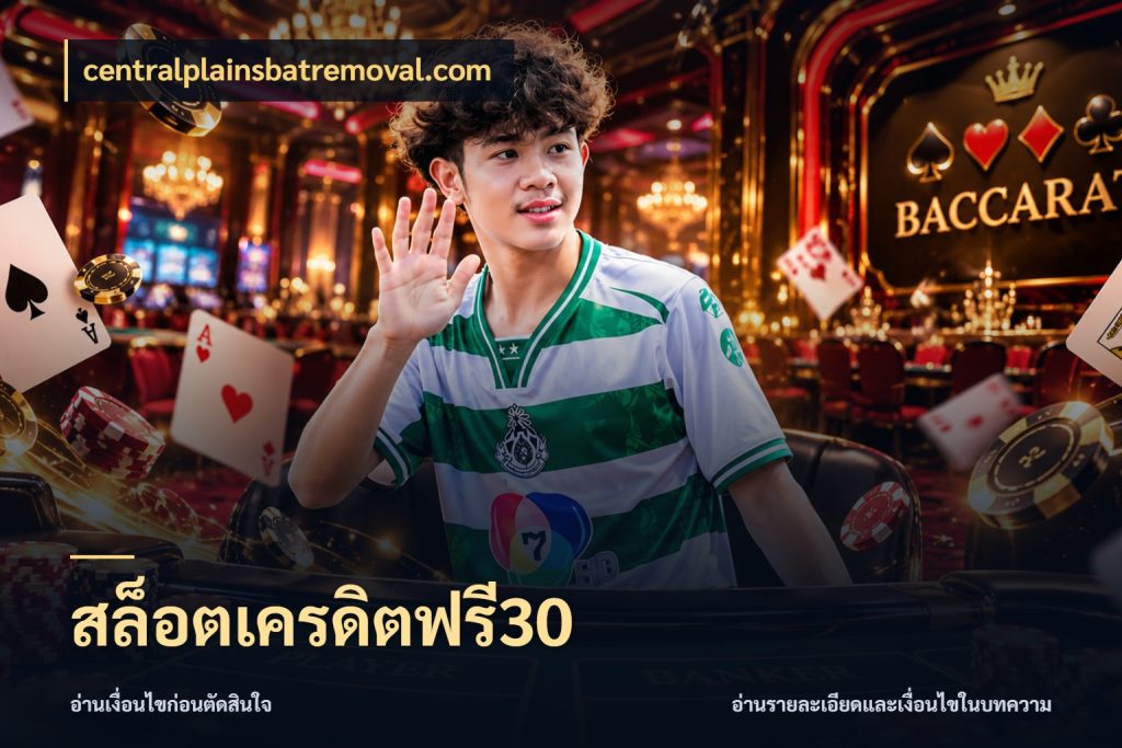สล็อตเครดิตฟรี30 เลือกสไตล์ความสนุกจากรูปแบบเครดิต กับ centralplainsbatremoval.com