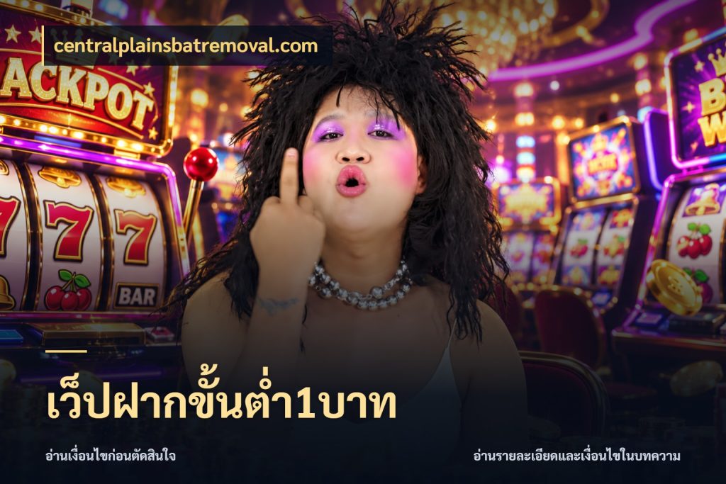 เว็ปฝากขั้นต่ำ1บาท รู้จักจำนวนแต่ละแบบก่อนเลือกเกม สไตล์ centralplainsbatremoval.com