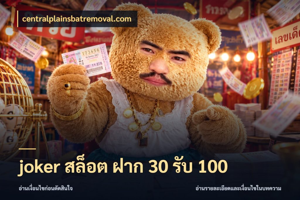 joker สล็อต ฝาก 30 รับ 100 สนุกกับตัวเลือกโปรในสไตล์ของคุณ สไตล์ centralplainsbatremoval.com