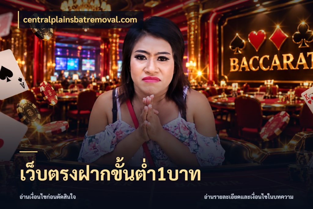 เว็บตรงฝากขั้นต่ำ1บาท มุมสนุกของคนที่กำหนดขอบเขตตัวเอง สไตล์ centralplainsbatremoval.com
