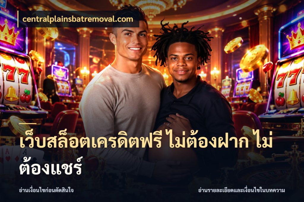 เว็บสล็อตเครดิตฟรี ไม่ต้องฝาก ไม่ต้องแชร์ เครดิตแต่ละรูปแบบมีมุมไหนให้ดู ในมุม centralplainsbatremoval.com