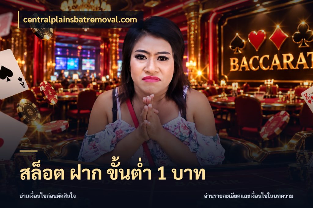 สล็อต ฝาก ขั้นต่ำ 1 บาท จัดจังหวะสนุกให้เข้ากับงบที่ตั้งไว้ สไตล์ centralplainsbatremoval.com