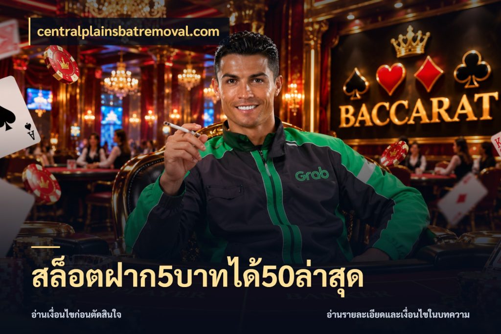 สล็อตฝาก5บาทได้50ล่าสุด centralplainsbatremoval.com สีสันของโปรฝากและยอดรับ