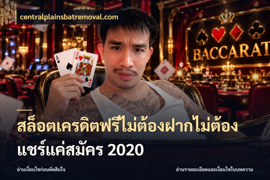 สล็อตเครดิตฟรีไม่ต้องฝากไม่ต้องแชร์แค่สมัคร 2020 centralplainsbatremoval.com จากชื่อเครดิตฟรีสู่ความสนุกที่เข้าใจได้