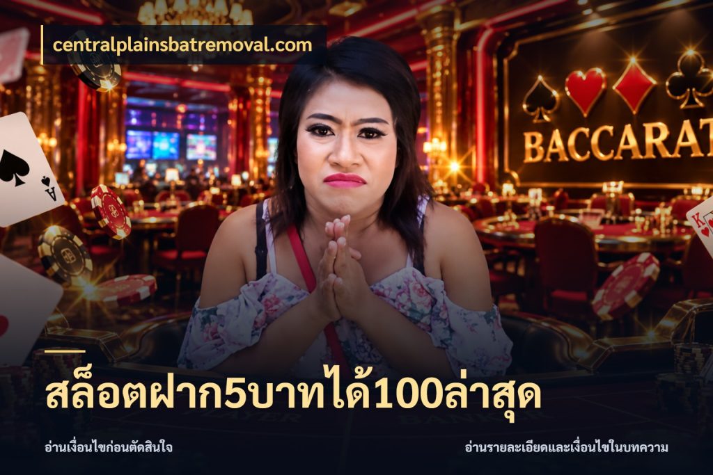 สล็อตฝาก5บาทได้100ล่าสุด centralplainsbatremoval.com เปิดมุมโปรให้เข้ากับเกมแนวโปรด