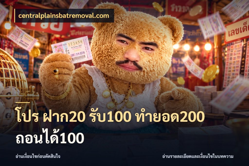 โปร ฝาก20 รับ100 ทำยอด200 ถอนได้100 centralplainsbatremoval.com เครดิตกับรูปแบบโปรที่ตรงใจ