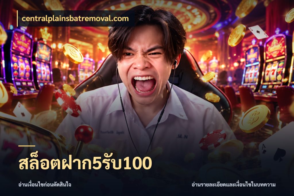 สล็อตฝาก5รับ100 ยอดฝากและยอดรับในมุมของคนชอบลุ้น กับ centralplainsbatremoval.com