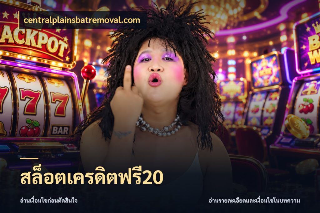 สล็อตเครดิตฟรี20 เลือกสไตล์ความสนุกจากรูปแบบเครดิต สไตล์ centralplainsbatremoval.com