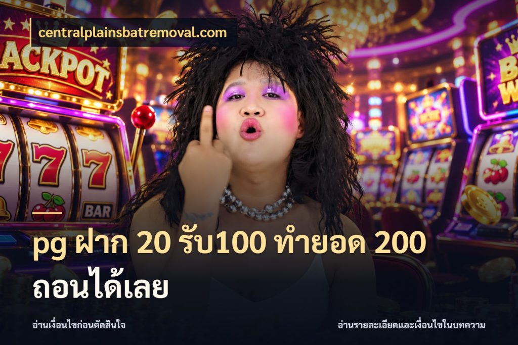 pg ฝาก 20 รับ100 ทำยอด 200 ถอนได้เลย จุดเด่นของเครดิตที่คนชอบเกมอยากรู้ ในมุม centralplainsbatremoval.com