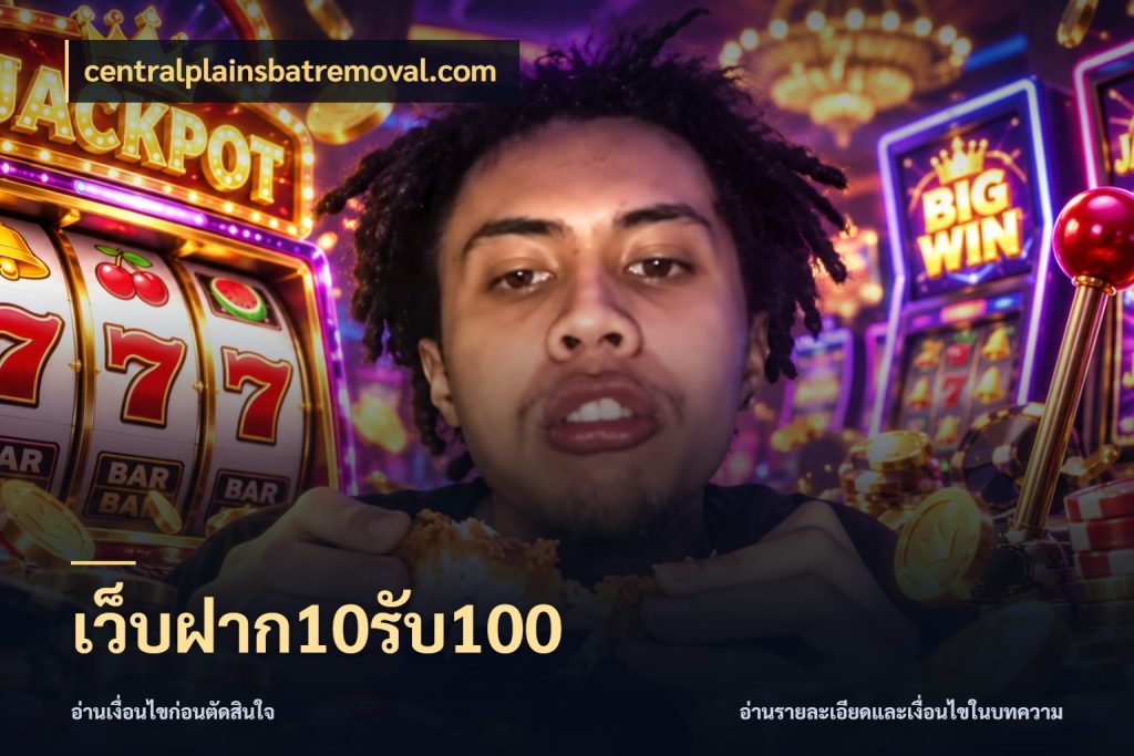 เว็บฝาก10รับ100 สนุกกับตัวเลือกโปรในสไตล์ของคุณ สไตล์ centralplainsbatremoval.com