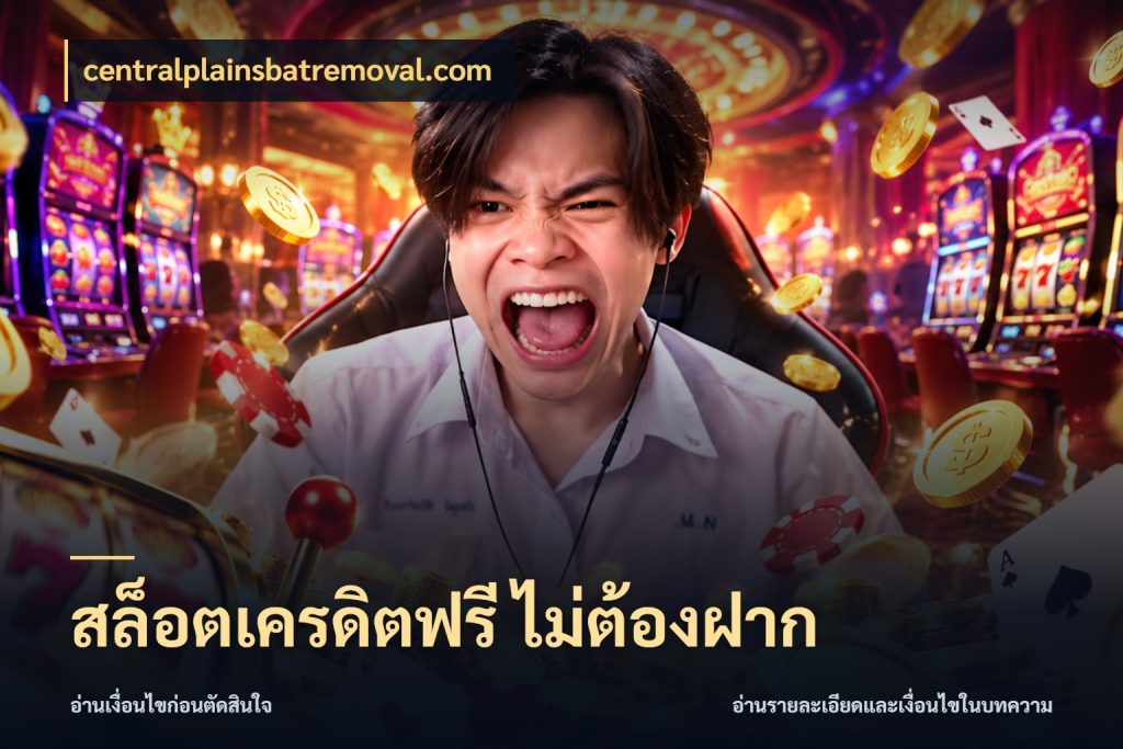 สล็อตเครดิตฟรี ไม่ต้องฝาก จับมุมเด่นของเครดิตฟรีให้ตรงใจ กับ centralplainsbatremoval.com