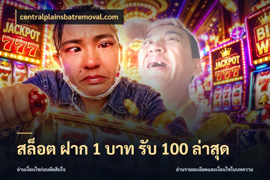 สล็อต ฝาก 1 บาท รับ 100 ล่าสุด สีสันของโปรฝากและยอดรับ สไตล์ centralplainsbatremoval.com