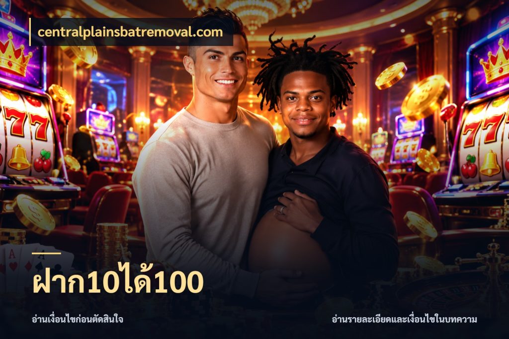 ฝาก10ได้100 รูปแบบโบนัสกับสิทธิ์ของสายเกม สไตล์ centralplainsbatremoval.com