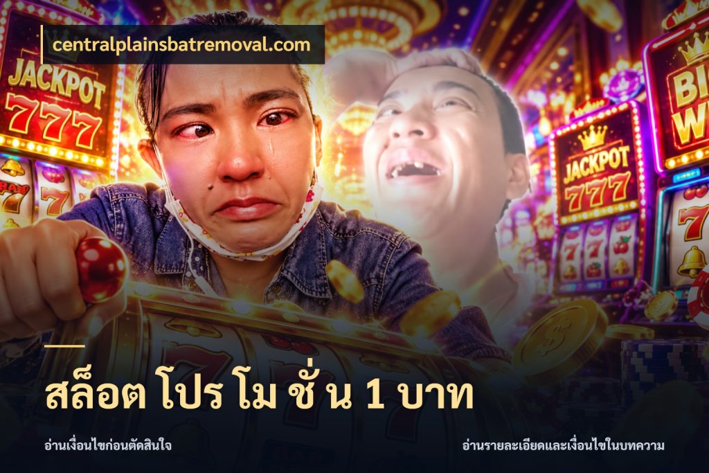 สล็อต โปร โม ชั่ น 1 บาท เงินตั้งต้นกับความสนุกที่คุณกำหนด ในมุม centralplainsbatremoval.com