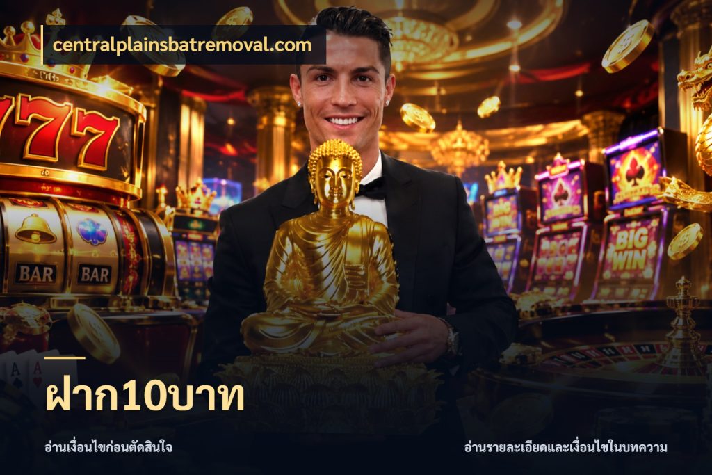 ฝาก10บาท รู้จักจำนวนแต่ละแบบก่อนเลือกเกม สไตล์ centralplainsbatremoval.com