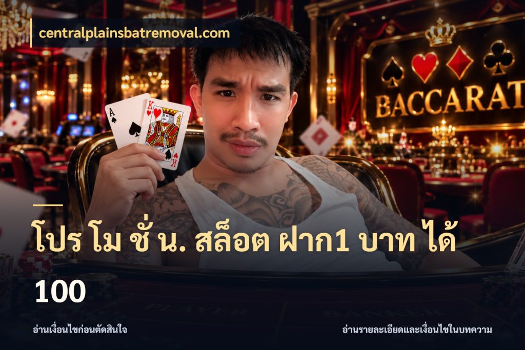 โปร โม ชั่ น. สล็อต ฝาก1 บาท ได้ 100 เครดิตกับรูปแบบโปรที่ตรงใจ ในมุม centralplainsbatremoval.com