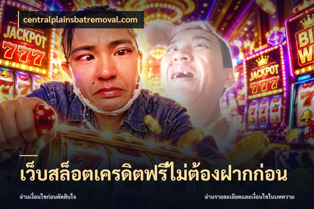 เว็บสล็อตเครดิตฟรีไม่ต้องฝากก่อน จับมุมเด่นของเครดิตฟรีให้ตรงใจ สไตล์ centralplainsbatremoval.com