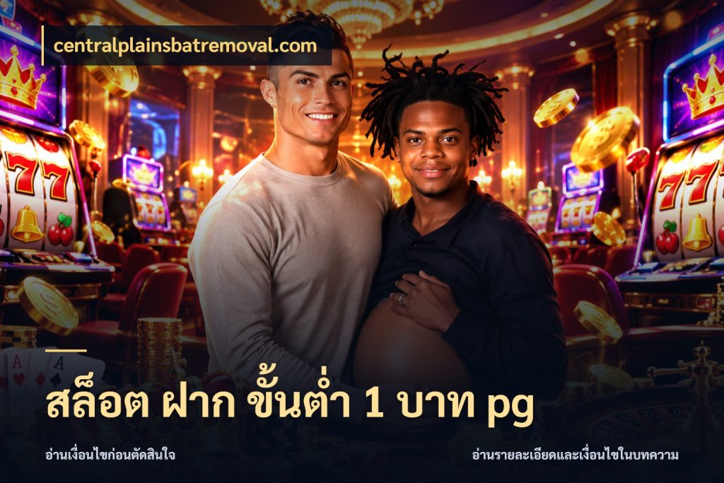 สล็อต ฝาก ขั้นต่ำ 1 บาท pg ยอดเริ่มต้นน่าจับตากับสิทธิ์ที่เกี่ยวข้อง กับ centralplainsbatremoval.com