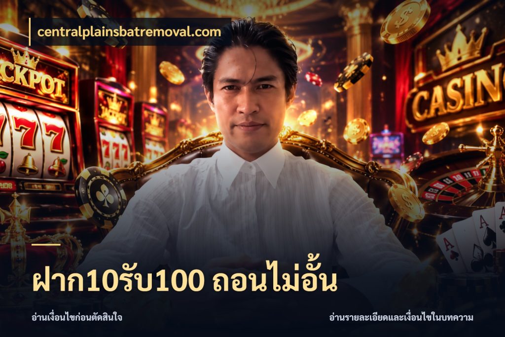ฝาก10รับ100 ถอนไม่อั้น รูปแบบโบนัสกับสิทธิ์ของสายเกม สไตล์ centralplainsbatremoval.com