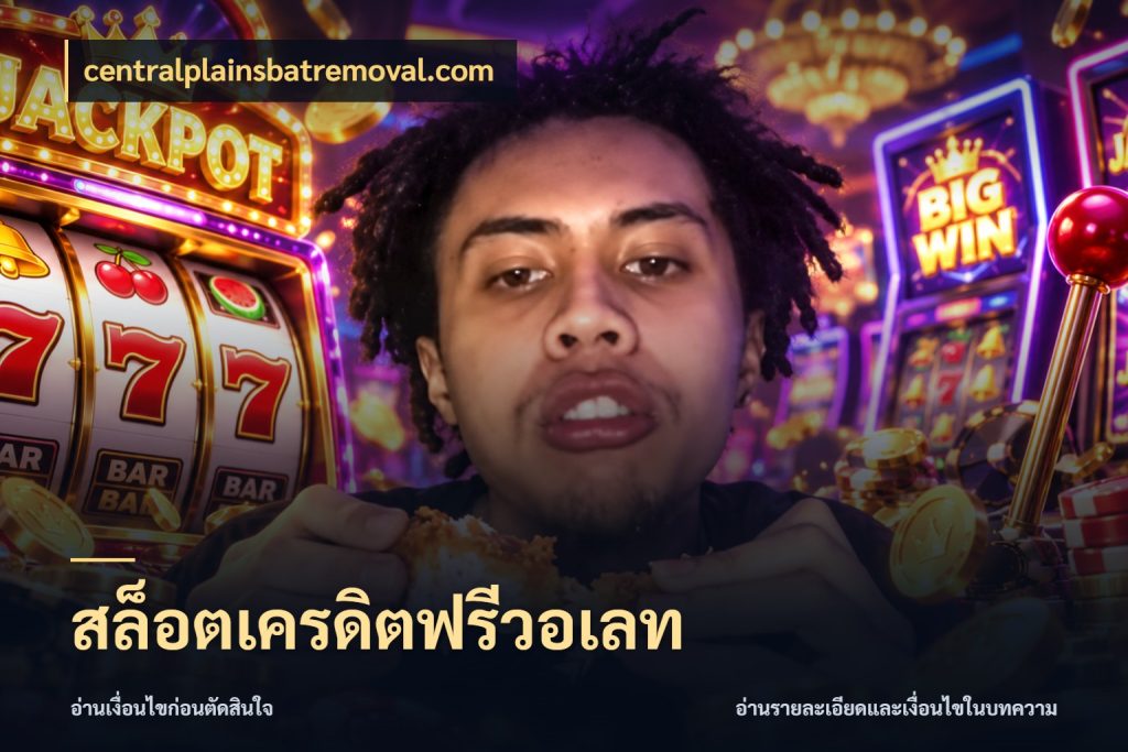 สล็อตเครดิตฟรีวอเลท เครดิตฟรีกับจังหวะลุ้นที่คุณเลือก ในมุม centralplainsbatremoval.com