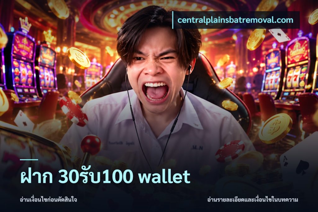 ฝาก 30รับ100 wallet
