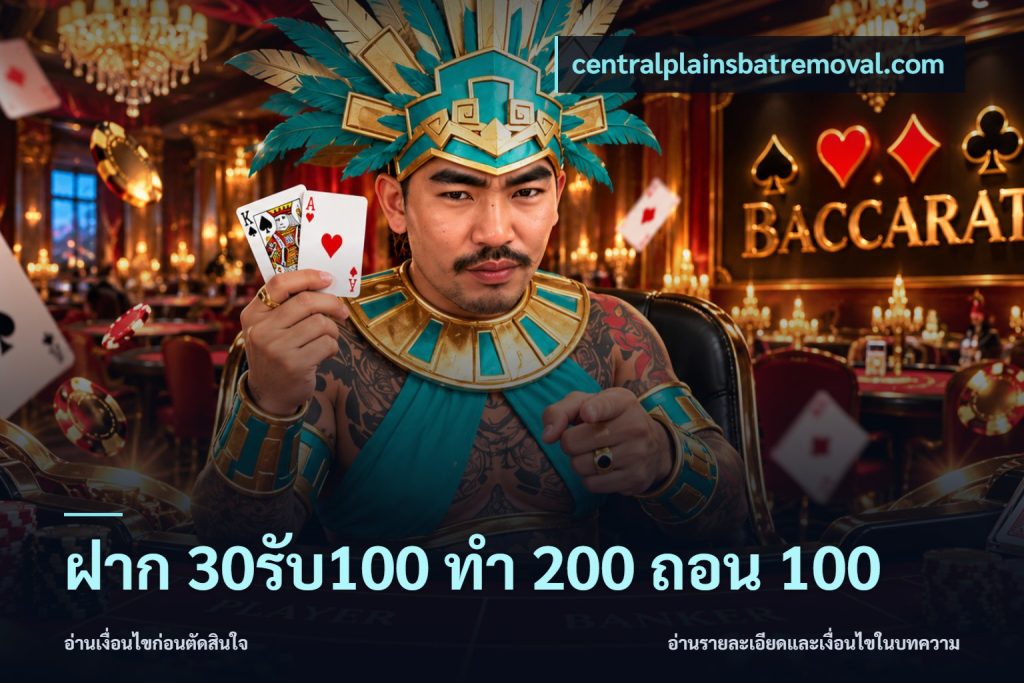ฝาก 30รับ100 ทํา 200 ถอน 100