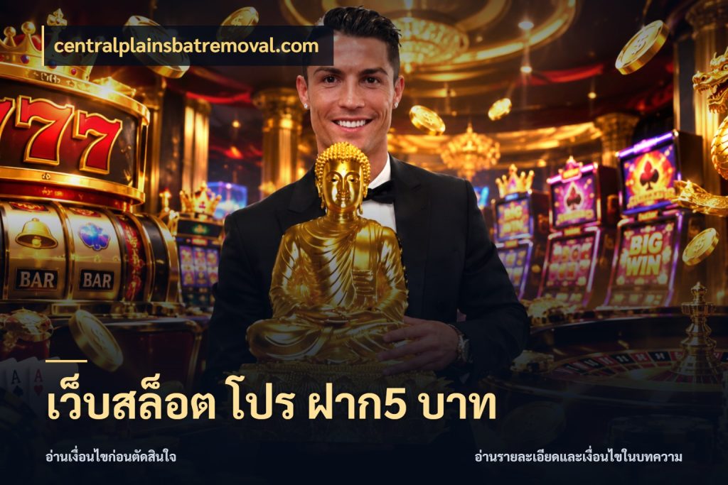 เว็บสล็อต โปร ฝาก5 บาท centralplainsbatremoval.com จำนวนเริ่มต้นกับรายละเอียดที่สายเกมสนใจ