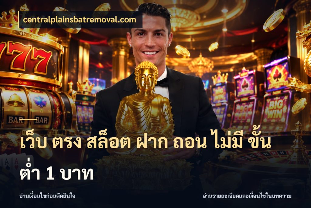 เว็บ ตรง สล็อต ฝาก ถอน ไม่มี ขั้น ต่ํา 1 บาท จำนวนเริ่มต้นกับรายละเอียดที่สายเกมสนใจ กับ centralplainsbatremoval.com